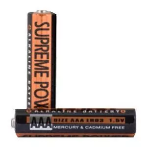 AAA 1.5 Volt Alkaline Battery, For External Infusion Pump Owned By Patient (2 count)