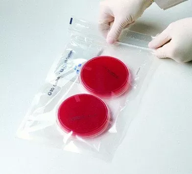 BD Anaerobe Pouch System BD Gaspak™ - M-503902-121 - Pack of 20