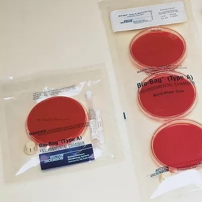BD Environmental Chamber Bag Bio-Bag™ Translucent, Includes CO2 Gas Generators, Resealable Medias - M-371463-4807 - CT/50
