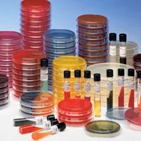 BD Prepared Media BD BBL™ Mueller Hinton II Agar Mono-Plate Format - M-995139-844 - Box of 1