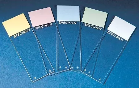 Cardinal Microscope Slide SP Superfrost Plus 25 X 75 X 1 mm Frosted End - M-677030-176 - GR/144