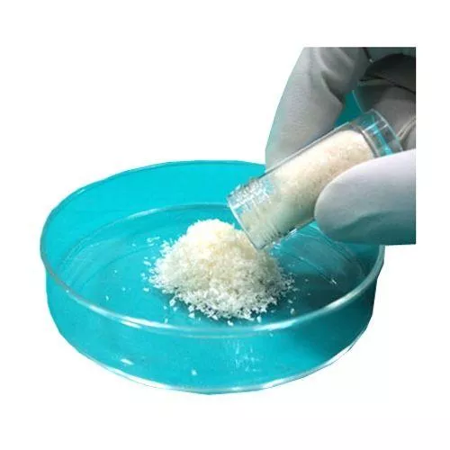 Collagen Wound Dressing Powder, 1 gram