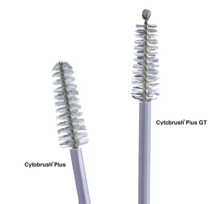 Cooper Surgical Cytology Brush Cytobrush Plus GT 196 mm Length - M-705600-3332 - Bag of 100