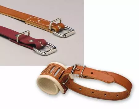 Danmar Products, Inc Restraint Belt Small Roller Buckle 1-Strap - M-325227-628 - Each