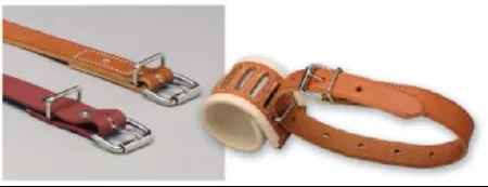 Danmar Products, Inc Restraint Belt X-Small Roller Buckle 1-Strap - M-585299-705 - Each