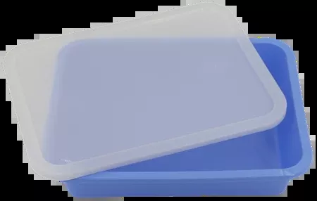 Deroyal IndustriesBasin Placenta 12x9" With Snap Close Lid 10/Ca