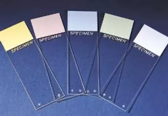 Erie Scientific Microscope Slide Superfrost Plus 25 X 75 mm Frosted End - M-486293-1210 - GR/144