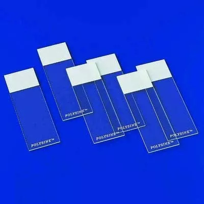 Erie Scientific SLIDE, POLYSINE FROSTED 1MM THICK 75X25MM (144/PK 10PK/CS) - M-1037755-189 - Case of 10