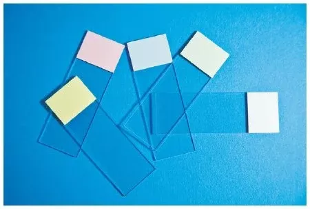 Fisher Anatomical Microscope Slide Fisherbrand™ Selectfrost™ 25 X 75 mm White Frosted End - M-905027-8 - Box of 144