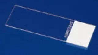 Fisher Anatomical Microscope Slide Superfrost 25 X 76 X 1.2 mm Frosted End - M-725633-3465 - Pack of 144
