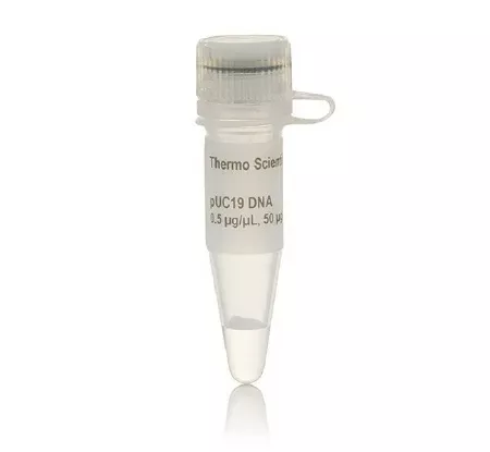 Fisher Scientific Biochemical Thermo Scientific™ PUC19 DNA 0.5 µg / µL 50 µg - M-891834-2208 - Each