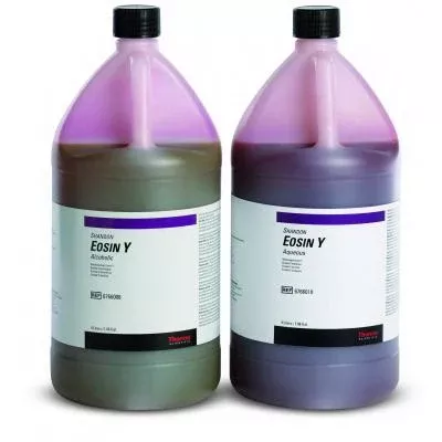 Fisher Scientific Eosin Y Stain, 1% Alcoholic 4 Liter - M-1033067-2109 - Each