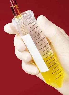 Fisher Scientific Fisherbrand™ Easy Reader Centrifuge Tube Conical Bottom Plain 17 X 119 mm 15 mL Without Color Coding Plug Seal Cap Polypropylene Tube - M-561576-4483 - Case of 500