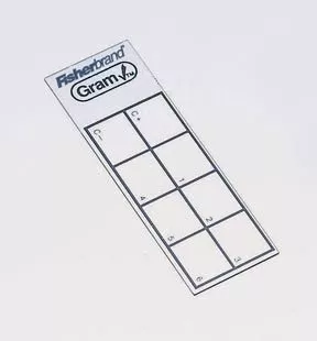 Fisher Scientific Gram Stain Control Slide Fisherbrand™ GramCheck™ - M-371561-3591 - Pack of 50