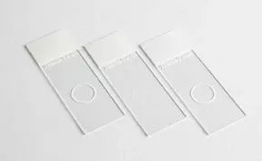 Fisher Scientific Microscope Slide Shandon™ Single Cytoslide™ 25 X 75 mm Frosted End, Single Circle, Coated - M-972371-3397 - Case of 100