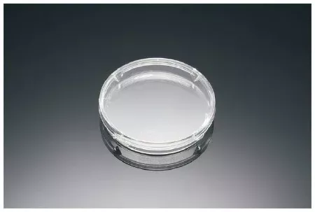 Fisher Scientific Petri Dish Falcon Polystyrene - M-1045812-2481 - Case of 500