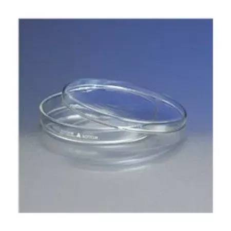Fisher Scientific Petri Dish Pyrex™ Borosilicate Glass - M-1028653-3116 - Case of 12
