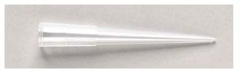 Fisher Scientific Pipette Tip Fisherbrand™ SureOne™ Beveled 1 to 200 µL Without Graduations Sterile - M-971816-3016 - Pack of 960