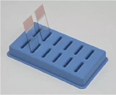 Fisher Scientific Slide Holder 6-5/8 X 3-7/8 X 7/8 Inch, Blue, Polypropylene For Drying / Draining Slides - M-578270-605 - Each