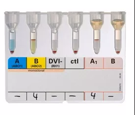 Fisher Scientific Test Card Gel Test™ cGMP Certifications/Compliance - M-840327-216 - Pack of 100
