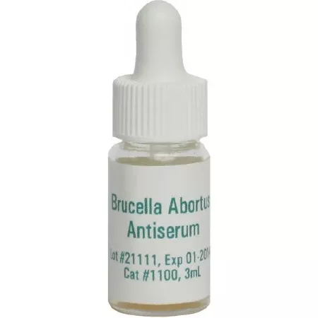 Germaine Laboratories Inc Antiserum Microbiology Brucella Abortus 3 mL - M-898219-4622 - Each