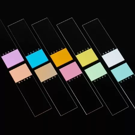 Globe Scientific Microscope Slide Diamond White Glass 25 X 75 X 1 mm Frosted End - M-1030858-3229 - Case of 1440
