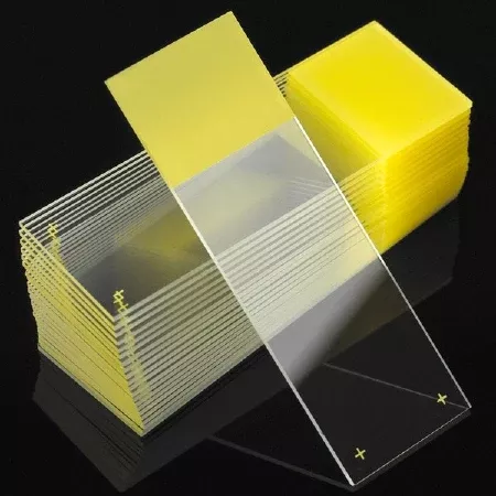 Globe Scientific Microscope Slide Diamond White Glass Charged 25 X 75 X 1 mm Yellow Frosted End - M-884039-1777 - Box of 72