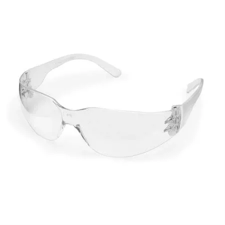 Intruder Economy Safety Glasses Women's