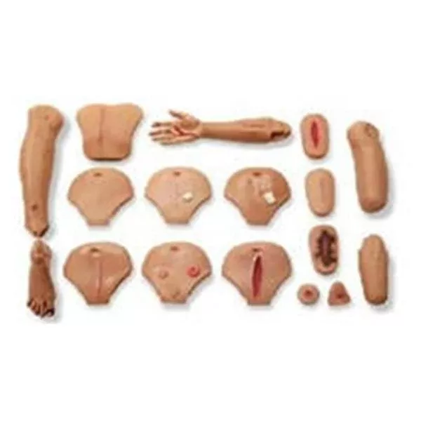 Laerdal MedicalAssessment Set Wound Care Male Ea