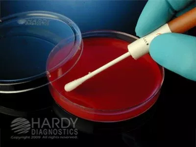 Microbiologics Inc CONTROL, STREP QC PYOGENES GRPA D/S - M-1148686-2153 - Each