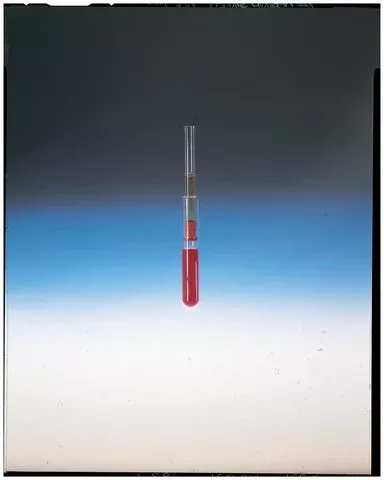 PANTek Technologies LLC Serum Filter IB™ Model 3/5 X 4 Inch For Glass, Plastic Collection Tubes - M-1008159-1007 - Pack of 100