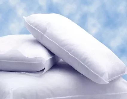 The Pillow Factory Division Bed Pillow Personal Pillow 17 X 22 Inch White Disposable - M-562139-4765 - Case of 12