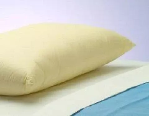 The Pillow Factory Division PILLOW, ECOCLOUD VINYL TAN POLYFIL 19"X25" (18/CS) - M-1099610-775 - Case of 18