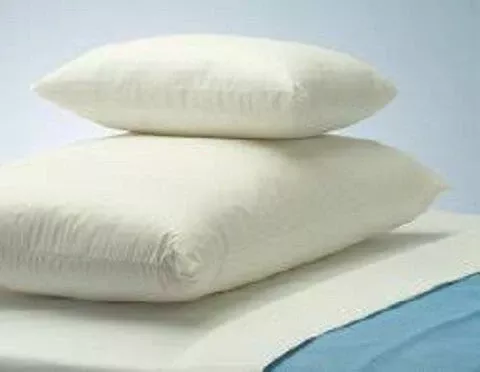 The Pillow Factory Division PILLOW, ECOCLOUD VINYL WHT POLYFIL 19"X25" (18/CS) - M-1099611-4384 - Case of 18