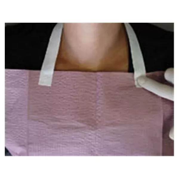 Pinnacle/TotalCare Bib Holder Bib-Eze Disposable White Plastic 250/Pk