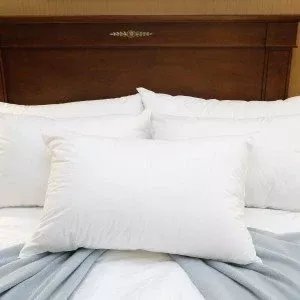 Royal Blue Intl Bed Pillow Medium 20 X 26 Inch White Reusable - M-1125096-1831 - Dozzen2