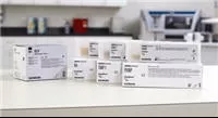 Siemens Fuse 1.6 Amp, 250 V For Dimension Analyzer - M-1086447-805 - Each