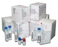Siemens Fuse 6.3 Amp, 250 V For Dimension Analyzer - M-1086446-2417 - Each
