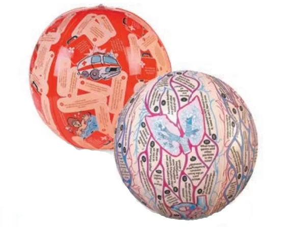 Simulaids Ball Human Anatomy Clever Catch Ea