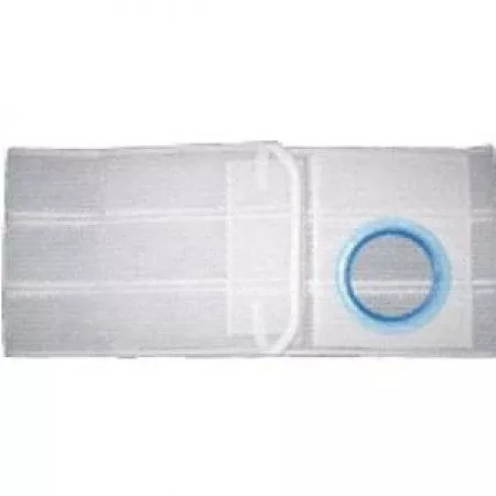Special Original Flat Panel 6" Support Belt 3-3/4" Opening 1" From Bottom Large, Left, Regular Elastic