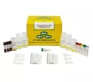 Zymo-Seq Cell Free DNA WGBS Library Kit24 PrepsZymo D5462